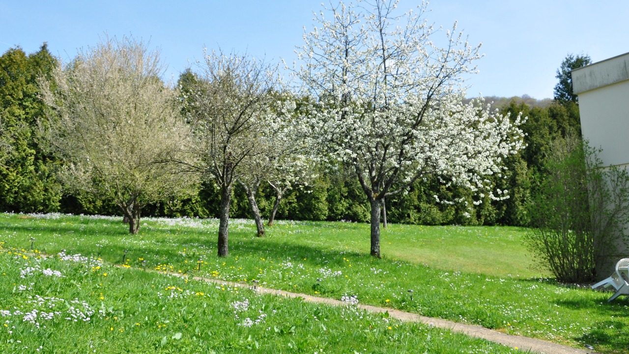 Photo of Outdoor in Hyevre-Paroisse