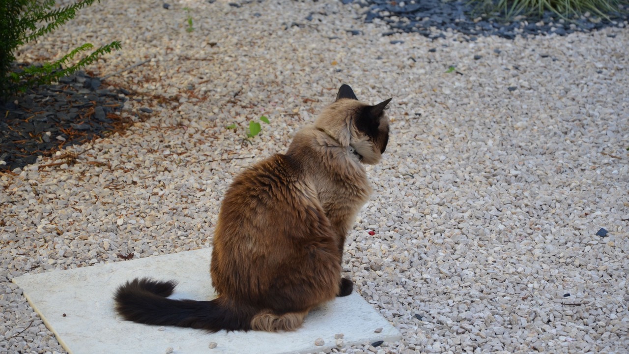 Photo of Others in Chalon-sur-Saone