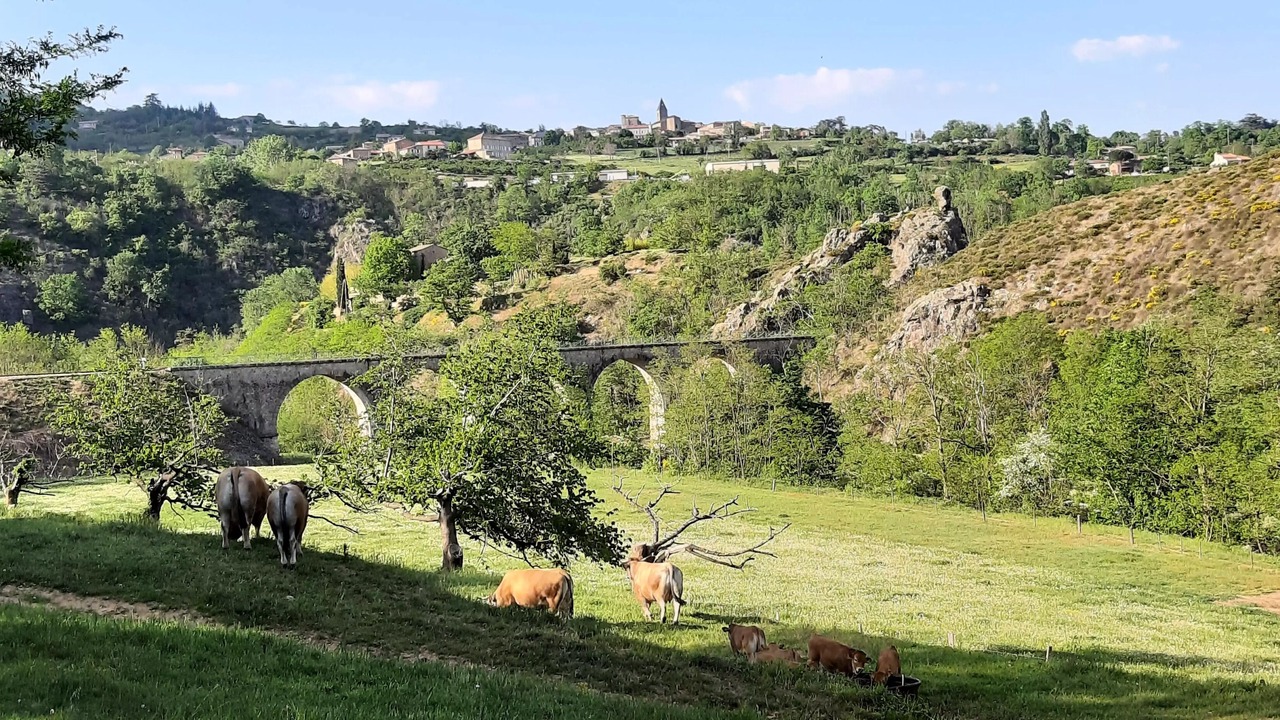 Photo of Others in Arlebosc