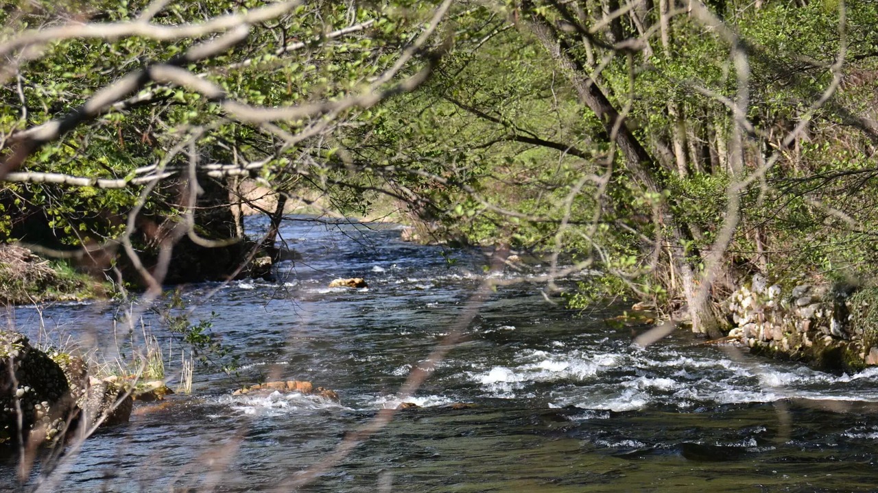 Photo of Outdoor in Arlebosc