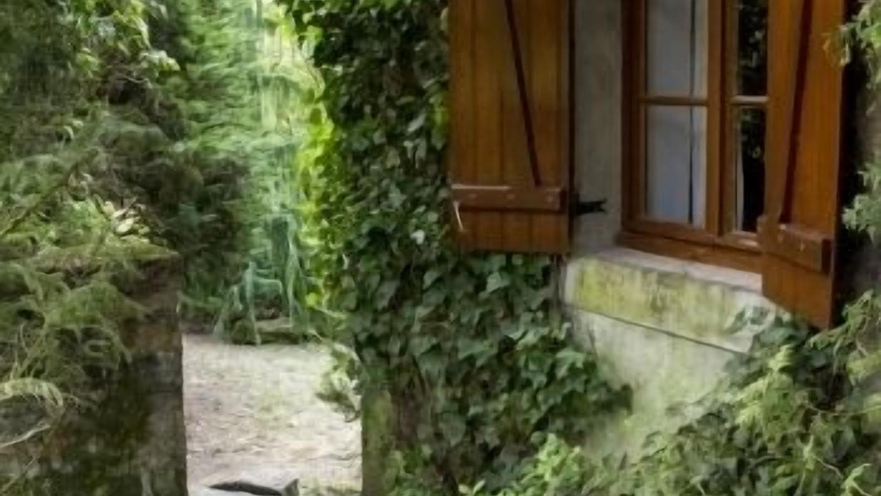 Photo of Outdoor in Montreuillon