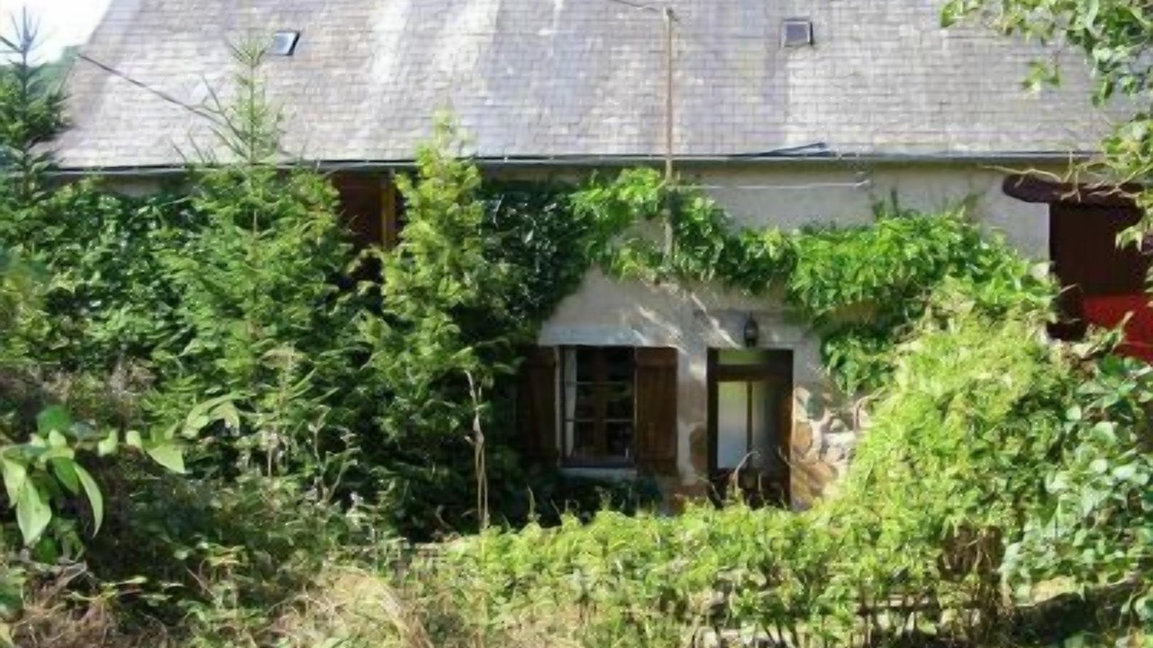 Photo of Outdoor in Montreuillon