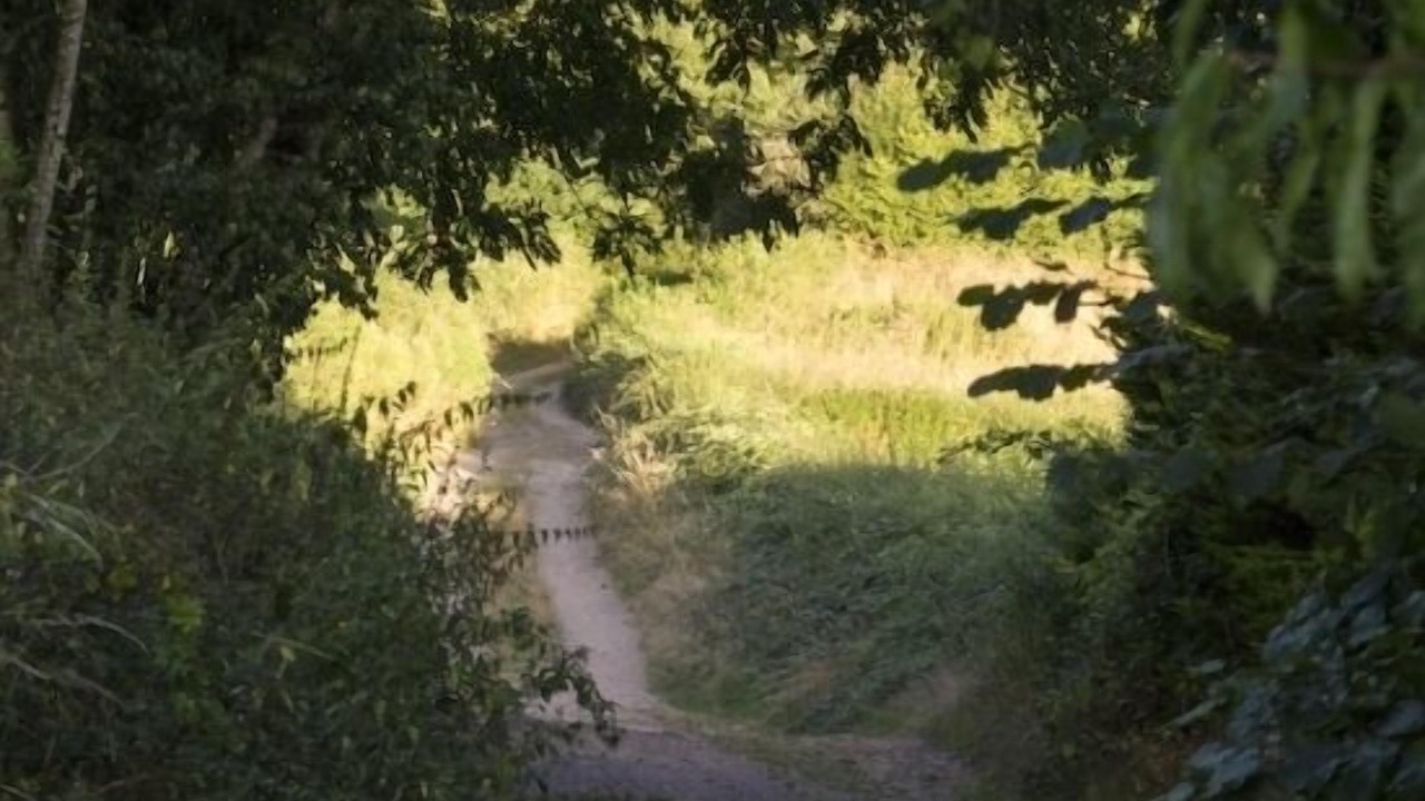Photo of Outdoor in Montreuillon