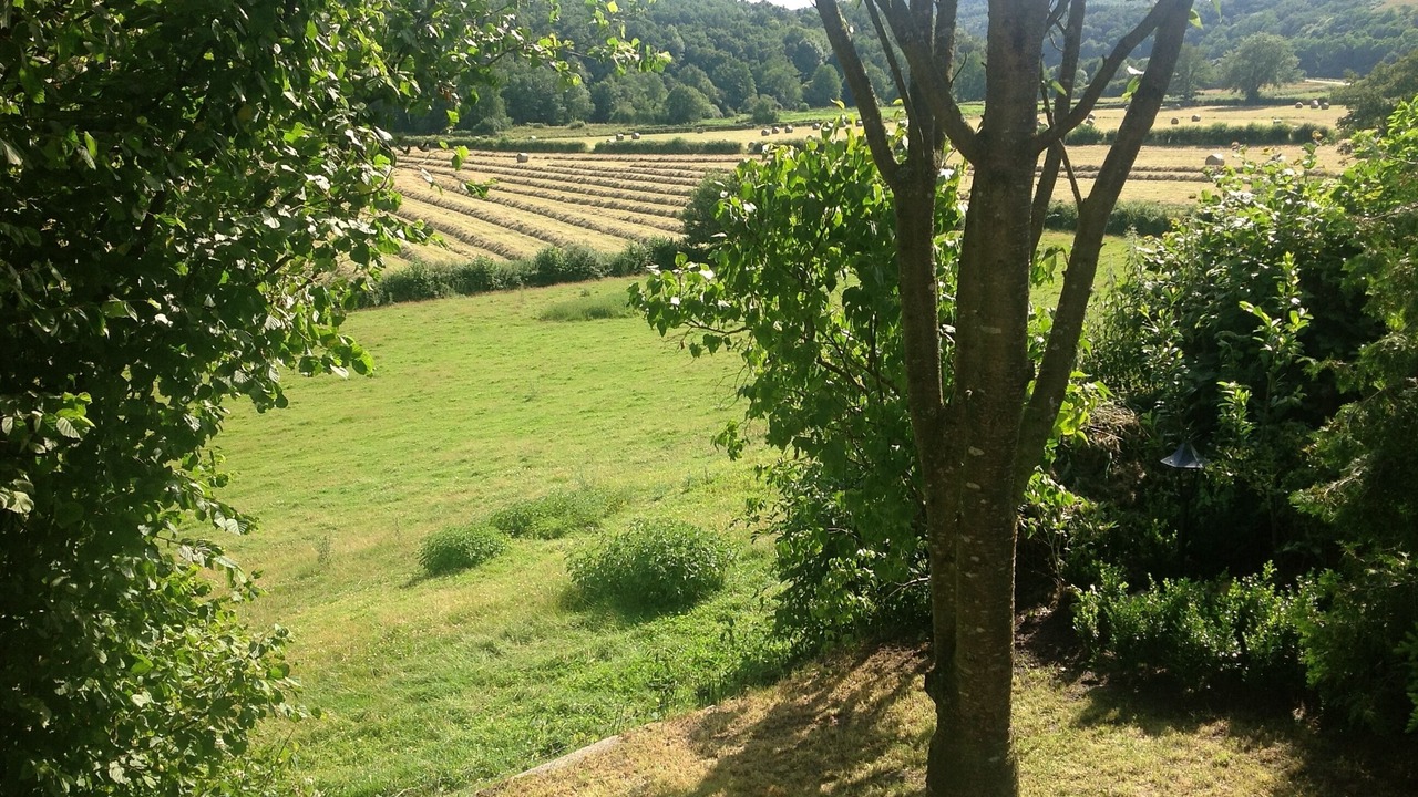 Photo of Outdoor in Montreuillon