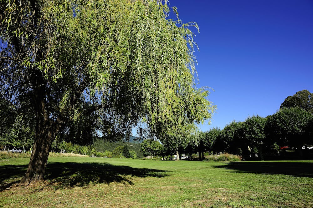 Photo of Outdoor in Meyras