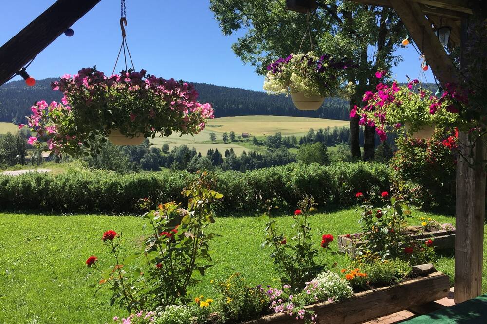 Photo of Outdoor in La Cluse-and-Mijoux