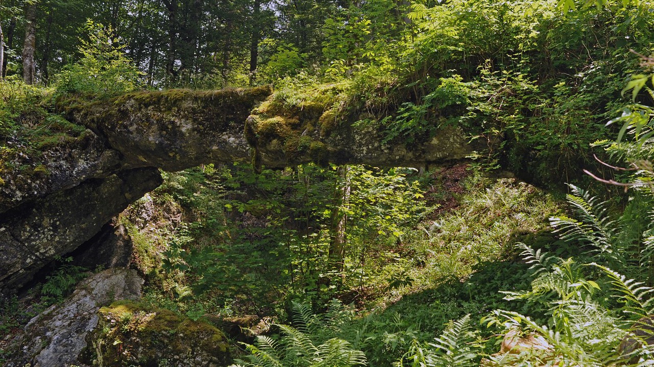 Photo of Outdoor in Mijoux