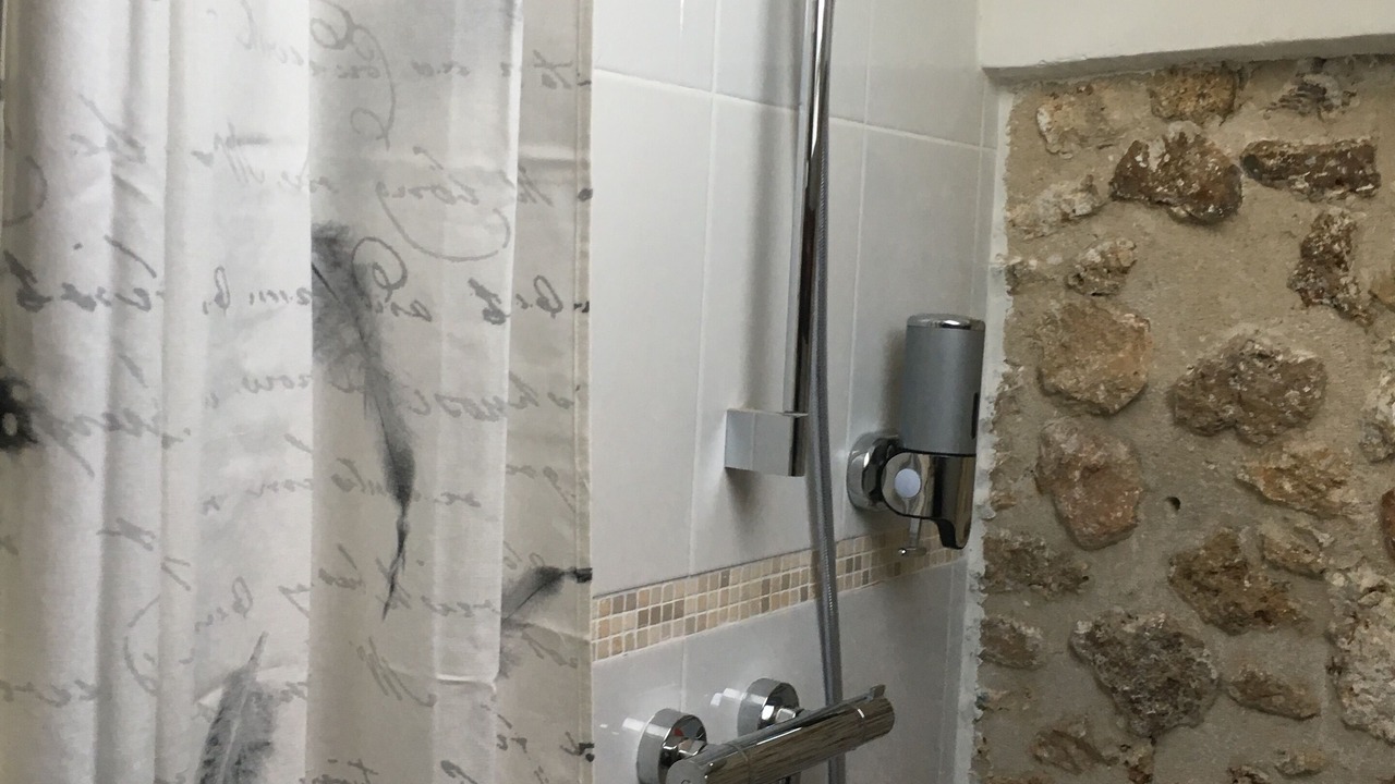 Photo of Bathroom in Orsay