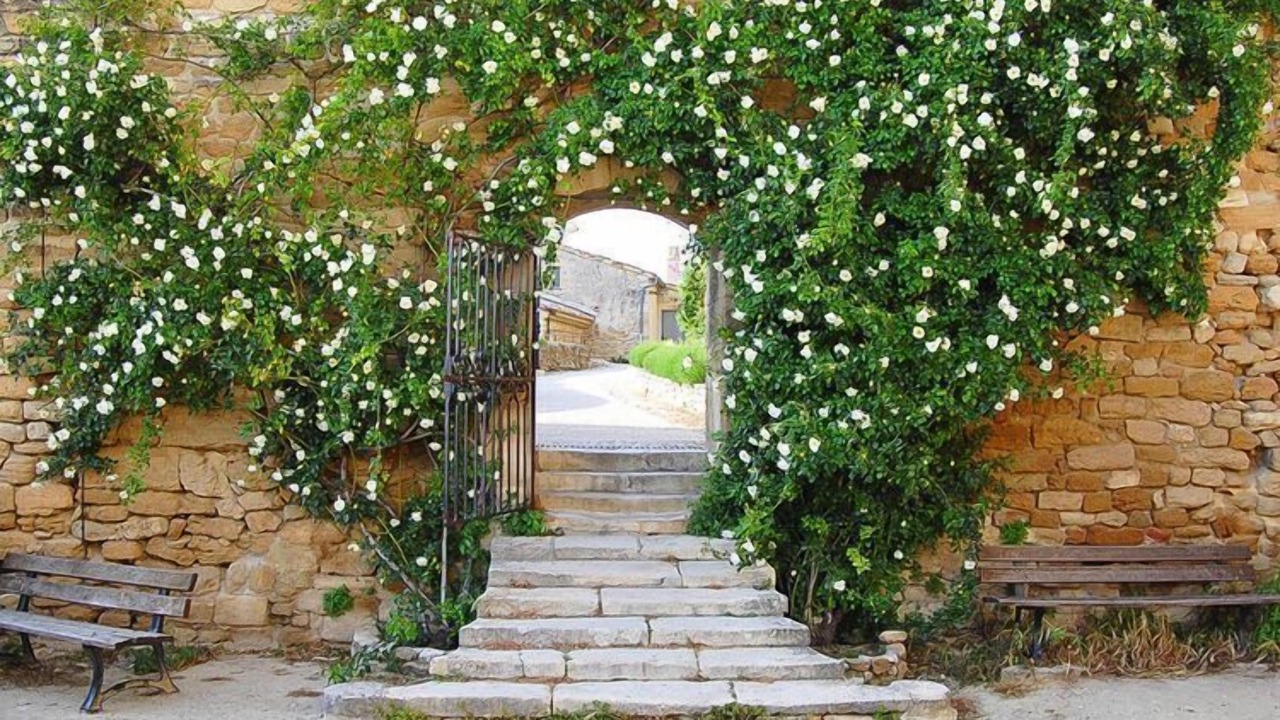 Photo of Outdoor in Grignan