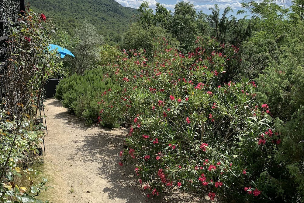 Photo of Outdoor in Saint-Alban-sous-Sampzon