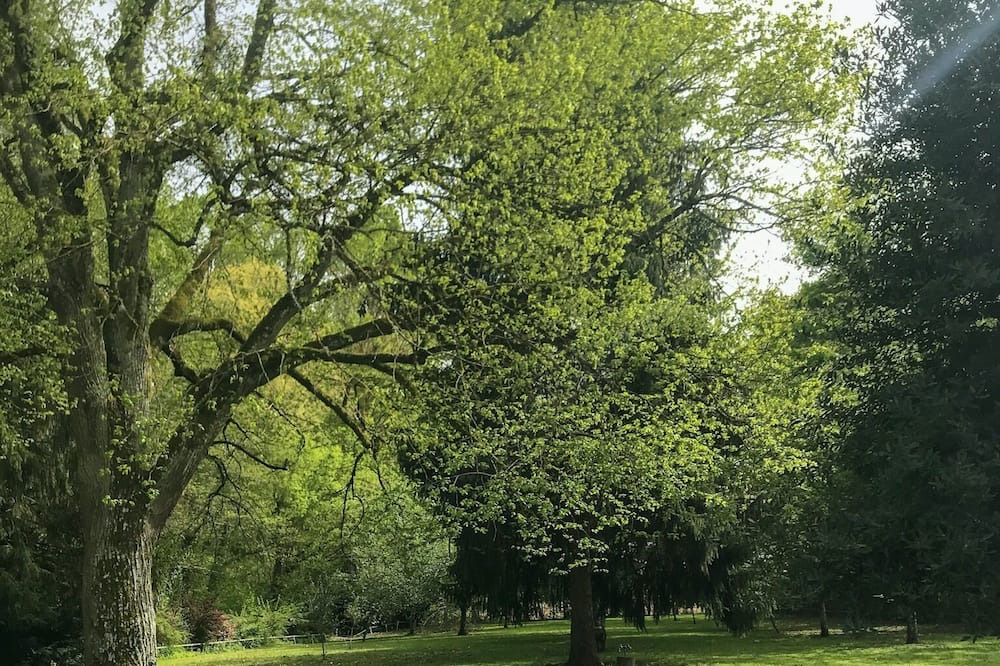 Photo of Outdoor in Herry