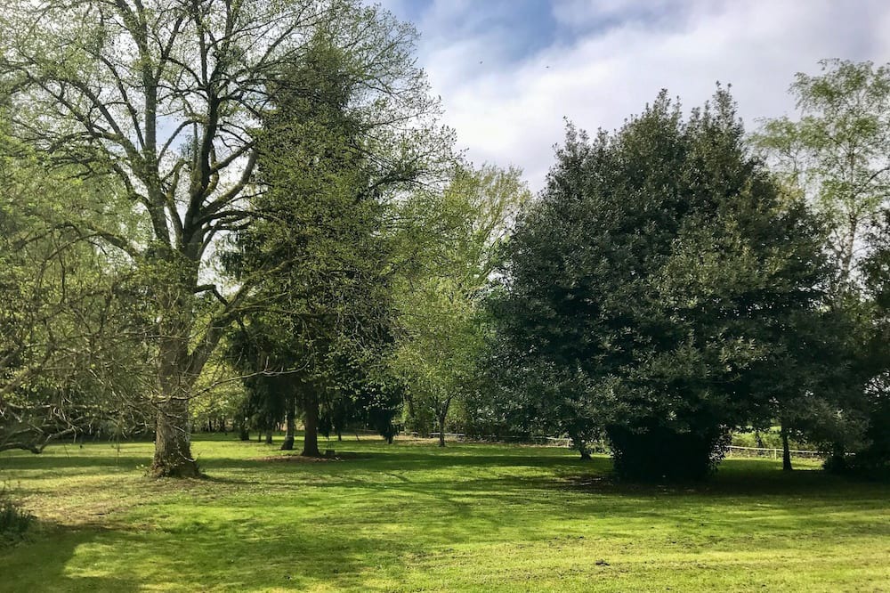 Photo of Outdoor in Herry