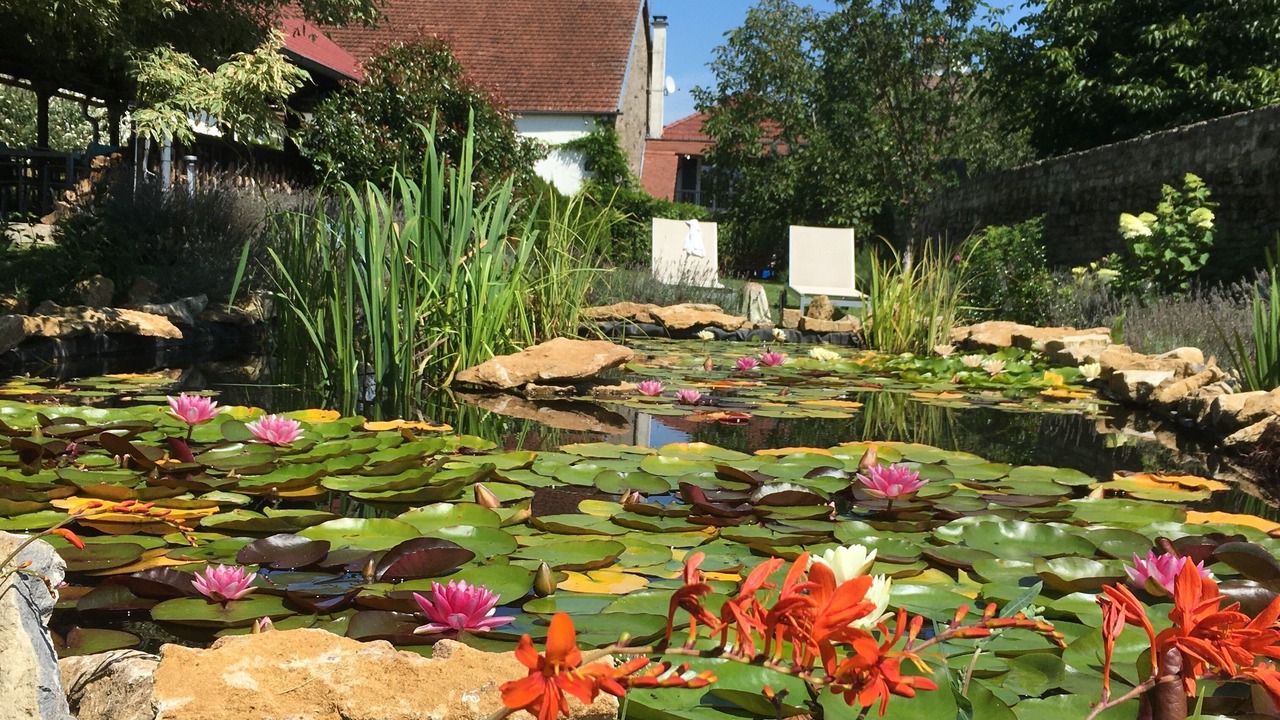 Photo of Outdoor in Vitrey-sur-Mance