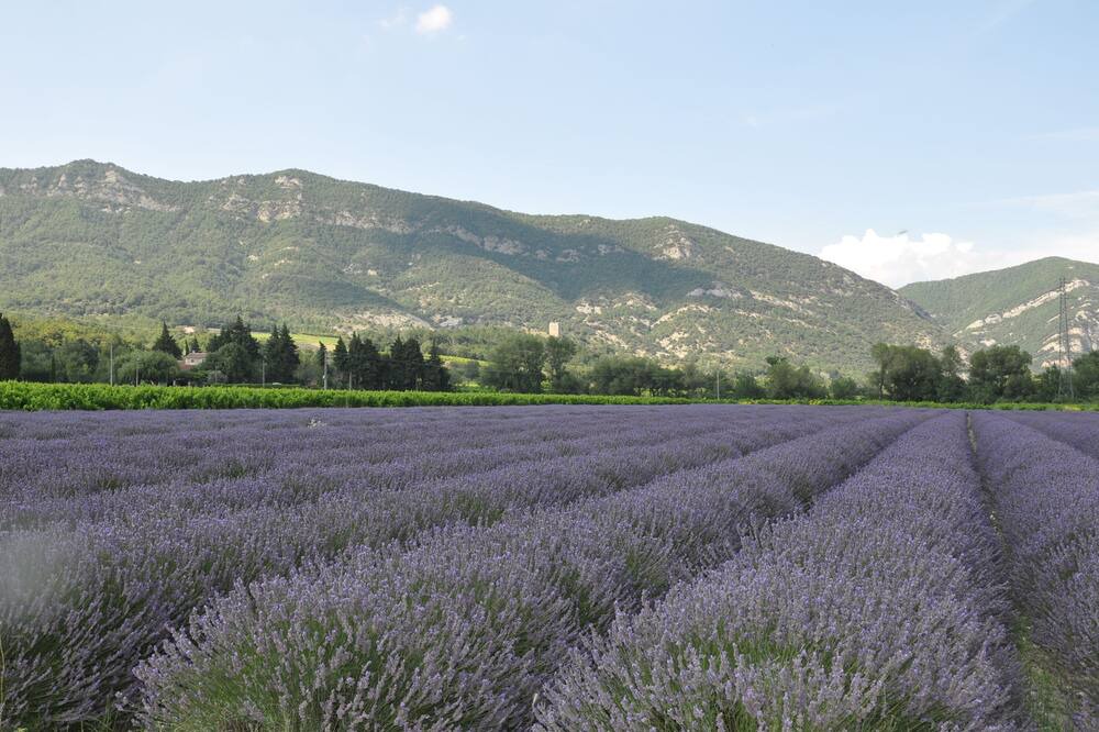 Photo of Outdoor in Roche-Saint-Secret