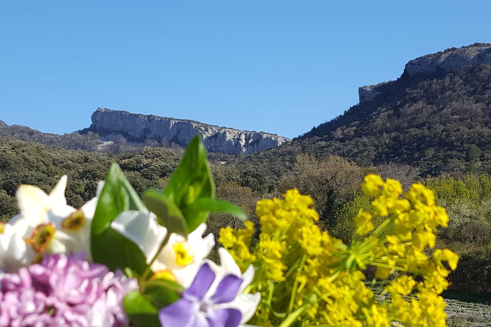 Photo of Outdoor in Roche-Saint-Secret