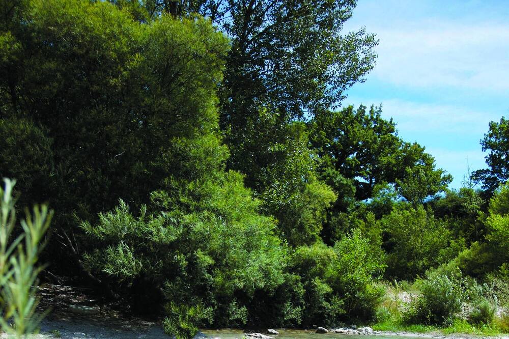 Photo of Outdoor in Roche-Saint-Secret