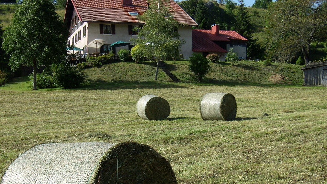 Photo of Outdoor in Chatelblanc