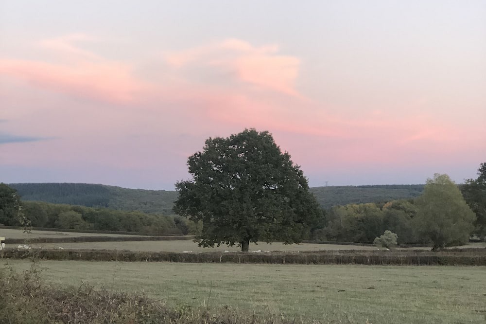 Photo of Outdoor in Saint-Martin-de-Salencey