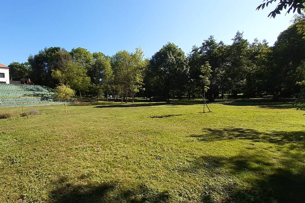 Photo of Outdoor in Courlans