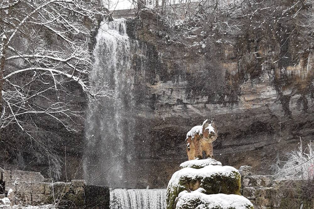 Photo of Outdoor in Courlans