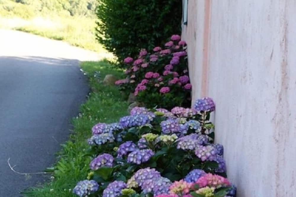 Photo of Outdoor in Saint-Jean-Saint-Maurice-sur-Loire