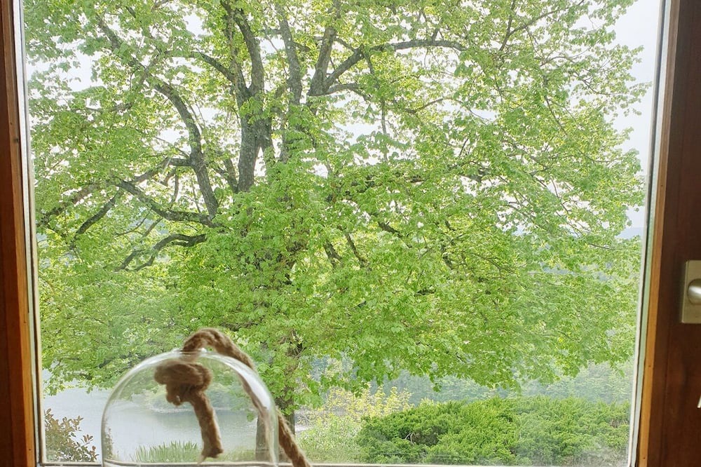Photo of Others in Saint-Jean-Saint-Maurice-sur-Loire