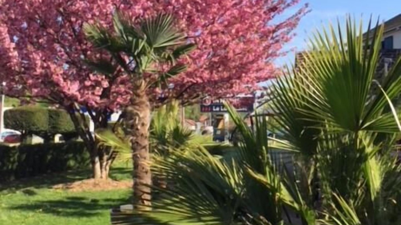 Photo of Outdoor in Andelnans