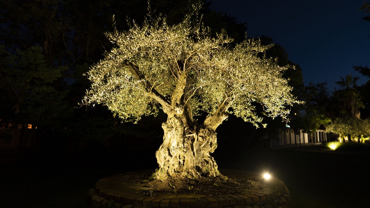 Photo of Outdoor in Loriol-sur-Drome