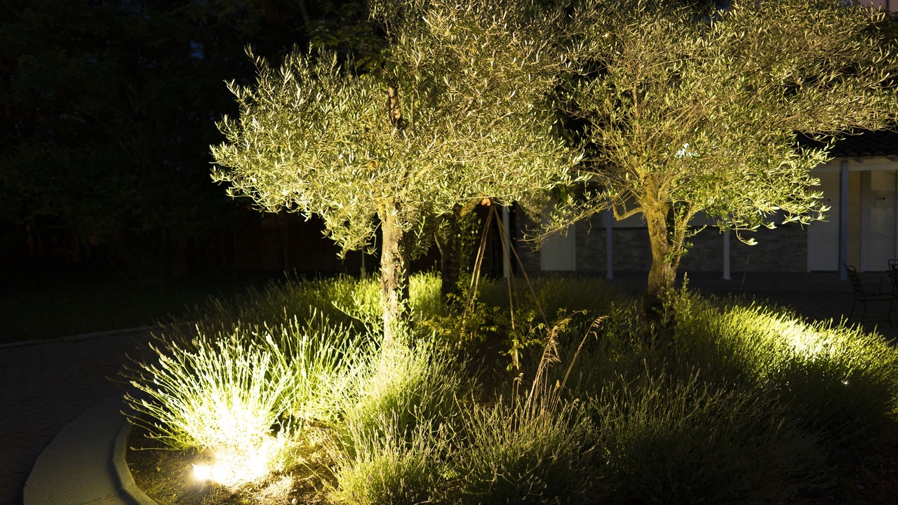 Photo of Outdoor in Loriol-sur-Drome