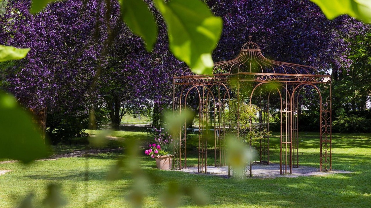 Photo of Outdoor in Dracy-le-Fort