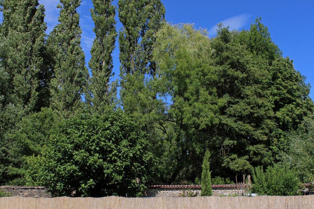 Photo of Outdoor in Vauconcourt-Nervezain