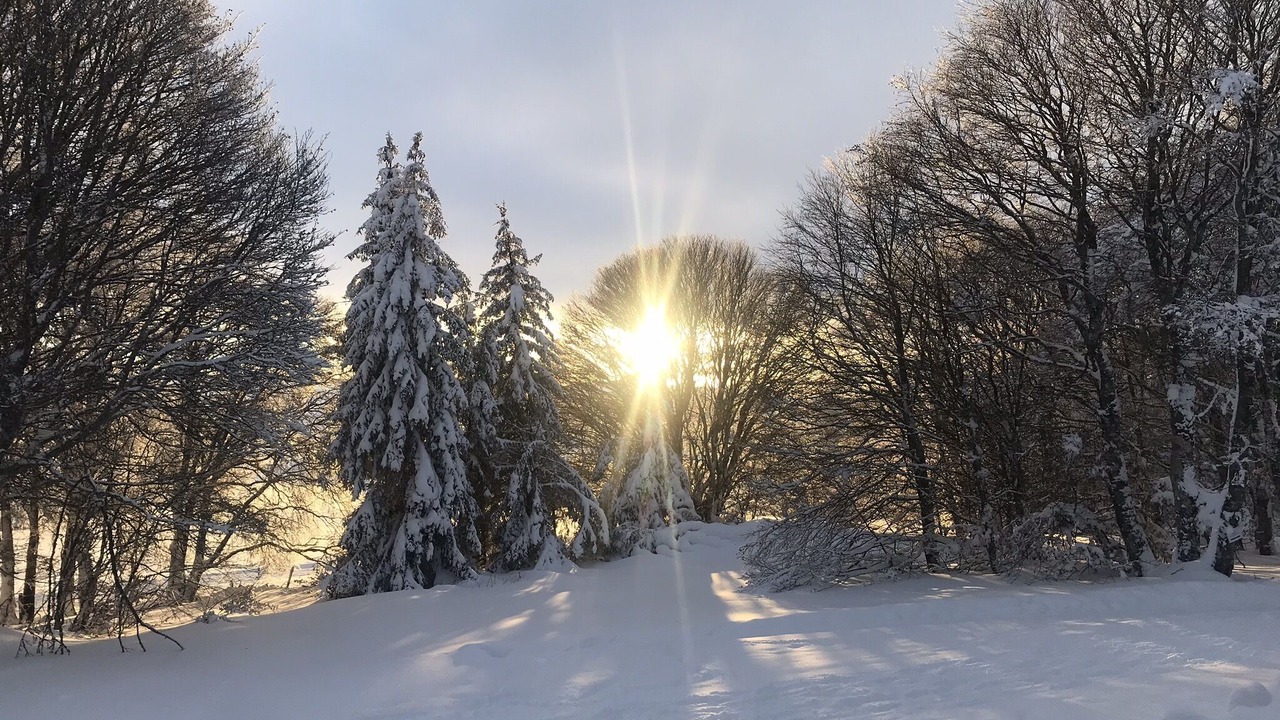 Photo of Outdoor in Nasbinals