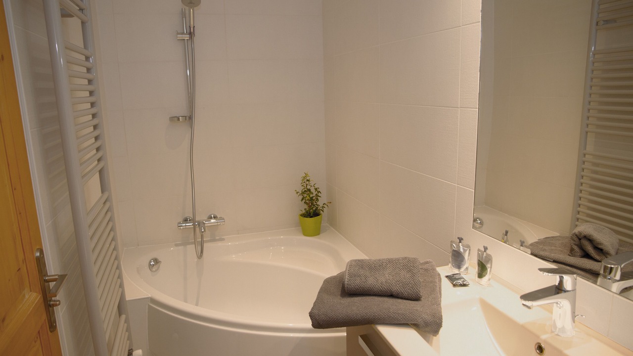 Photo of Bathroom in Le Fornet