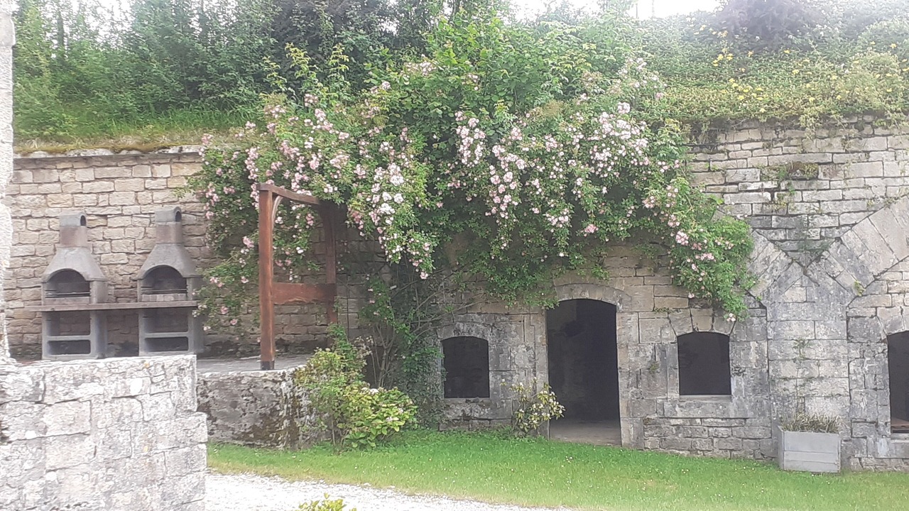 Photo of Buildings in Salins-les-Bains