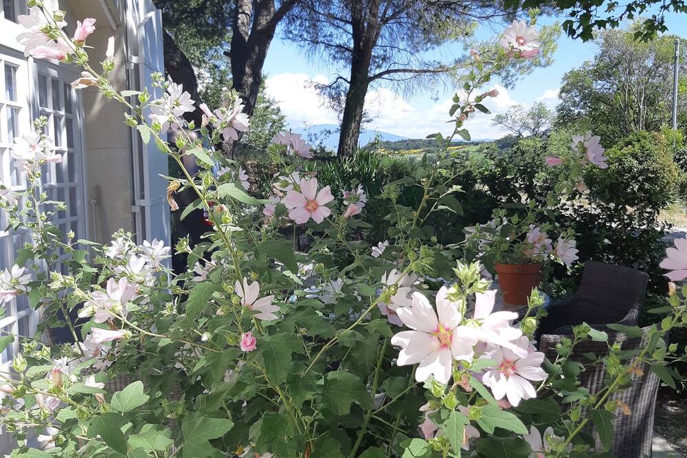 Photo of Outdoor in Visan