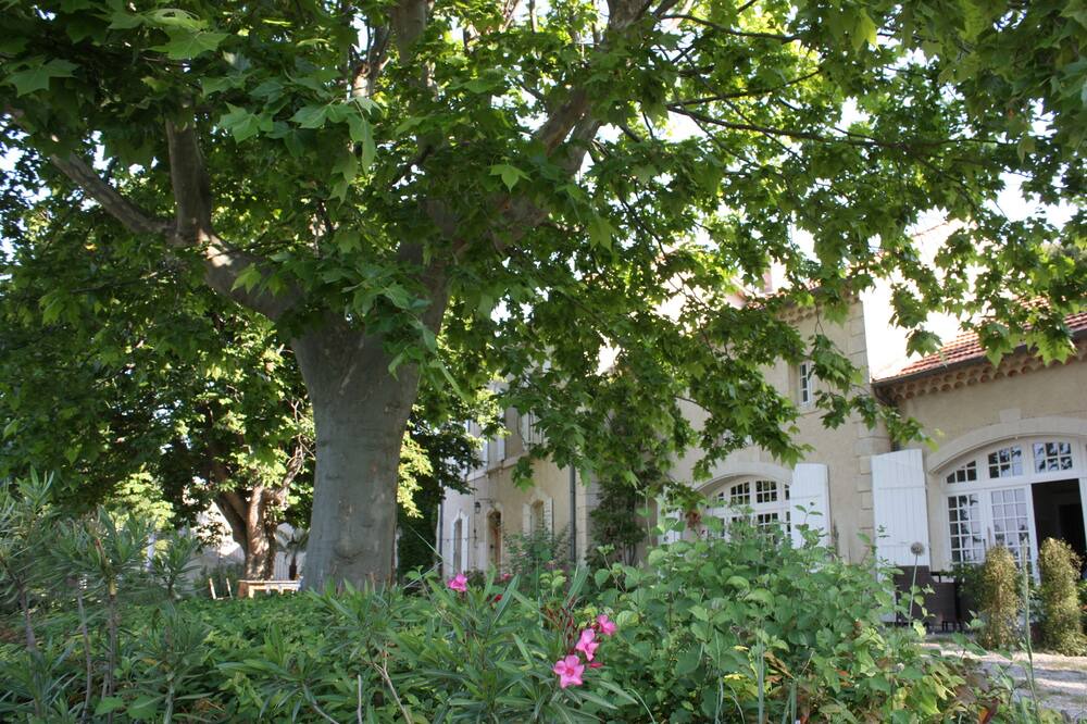 Photo of Outdoor in Visan