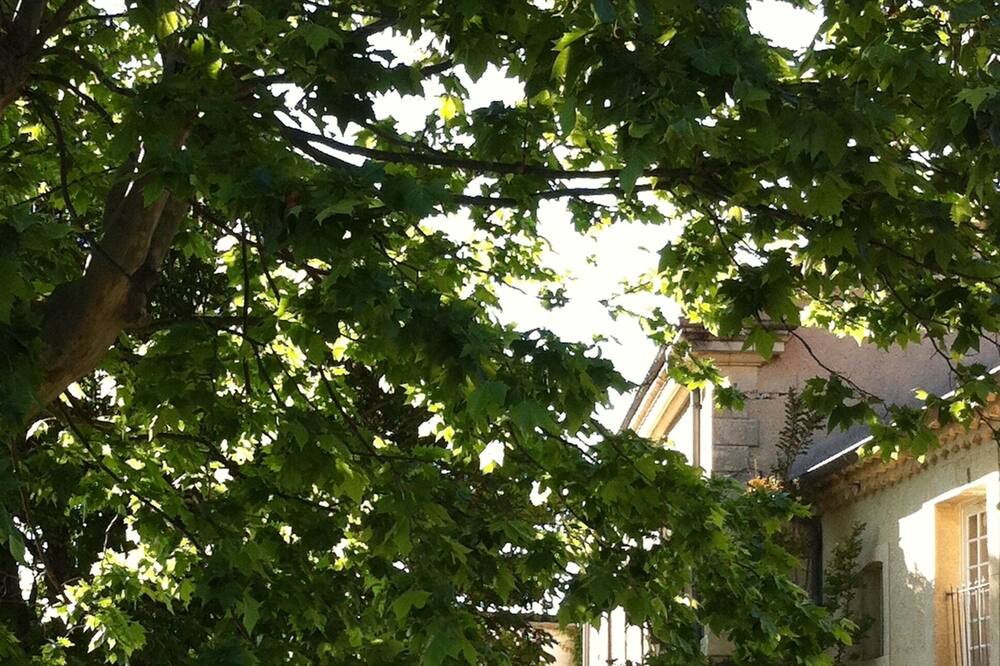 Photo of Outdoor in Visan