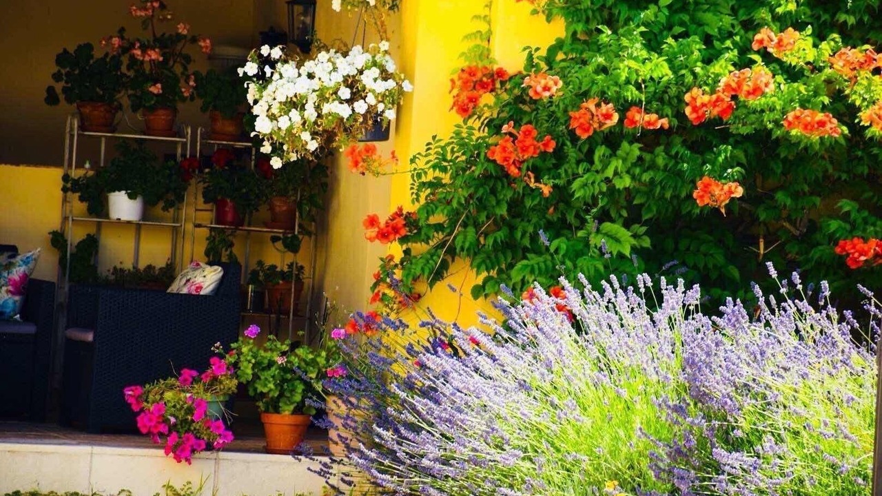 Photo of Outdoor in Saint-Didier