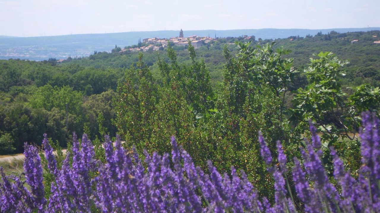 Photo of Outdoor in La Garde-Adhemar