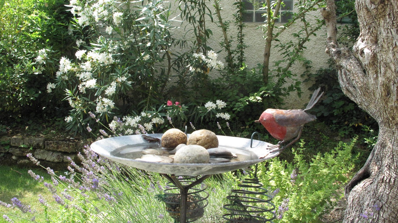 Photo of Outdoor in Loriol-du-Comtat