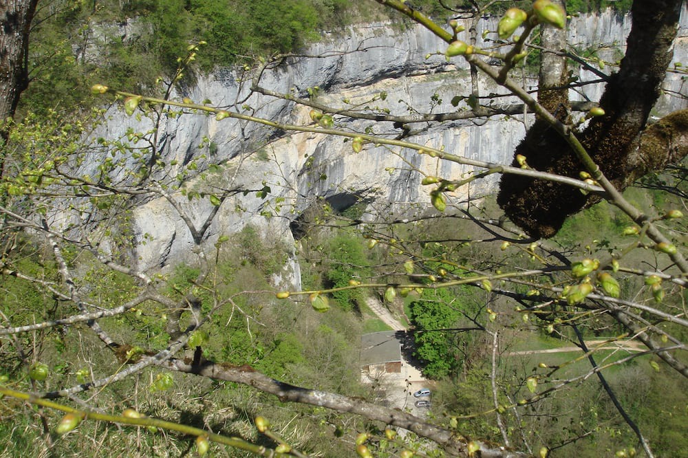 Photo of Outdoor in Saint-Maurice-Crillat