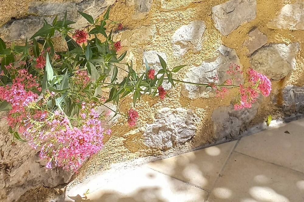 Photo of Outdoor in Beauvoisin