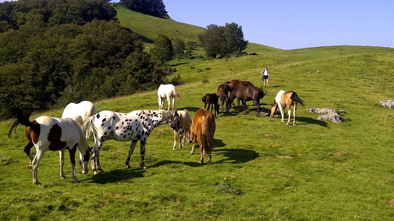 Photo of Outdoor in Rouede