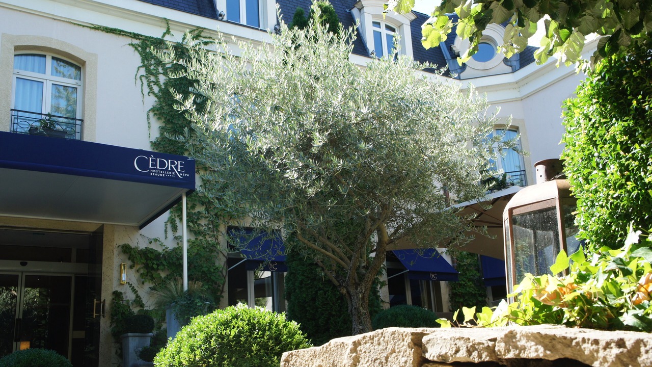 Photo of Outdoor in Beaune City Centre