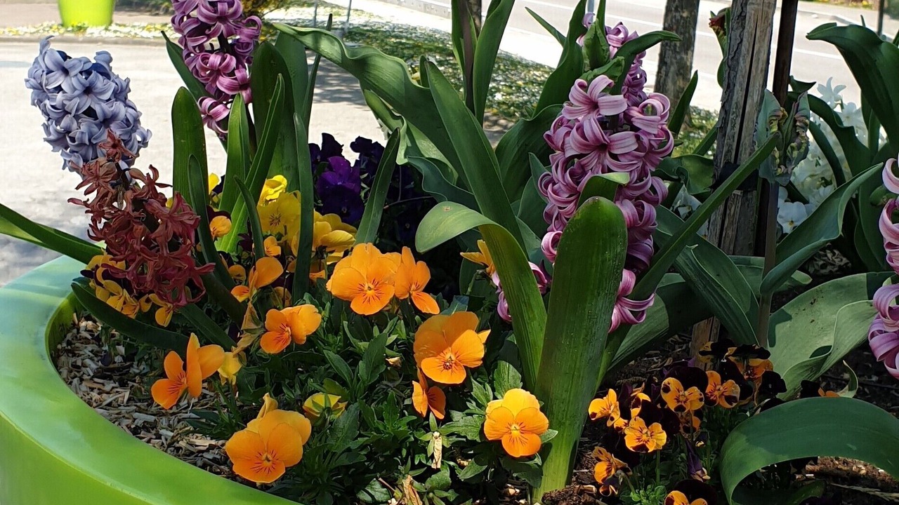 Photo of Outdoor in Ecole-Valentin