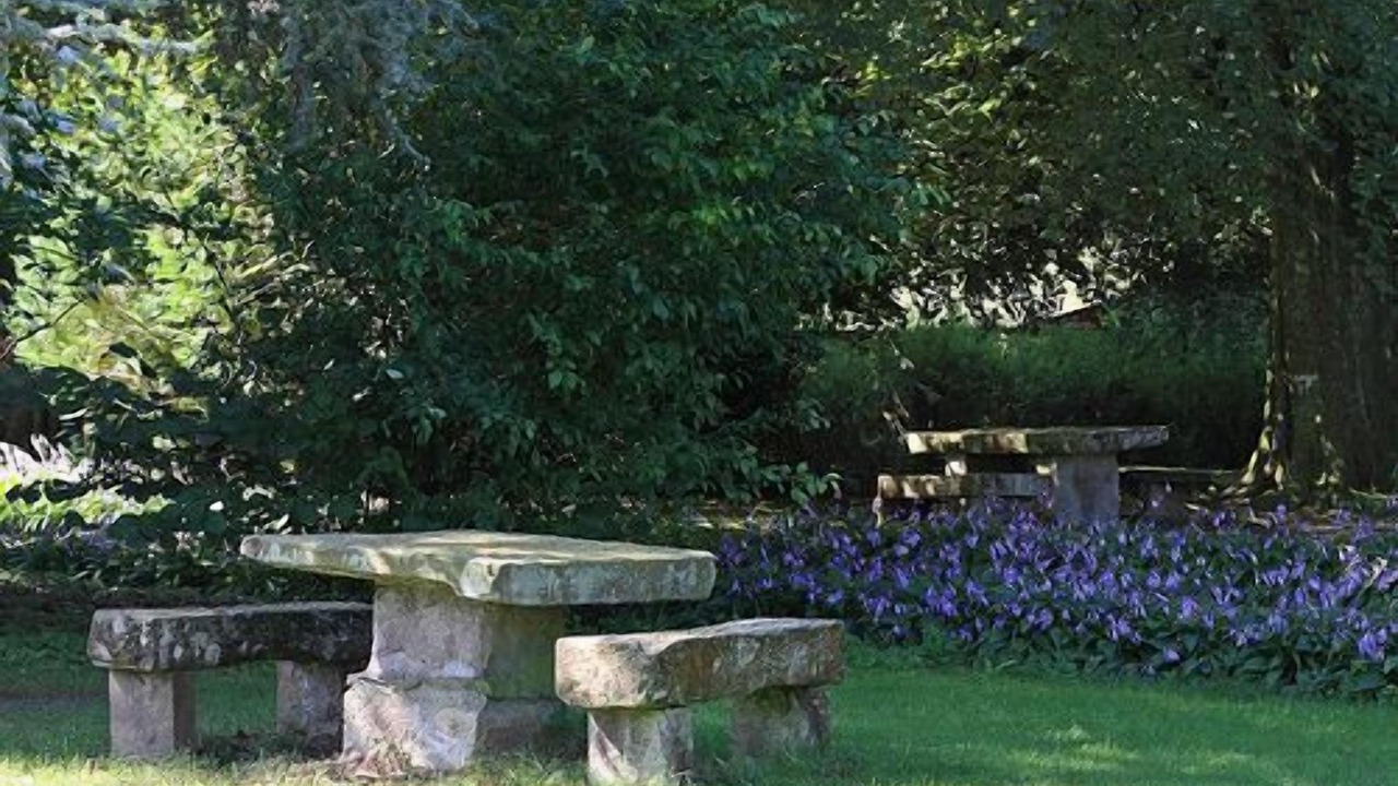 Photo of Outdoor in Le Val-d'Ajol