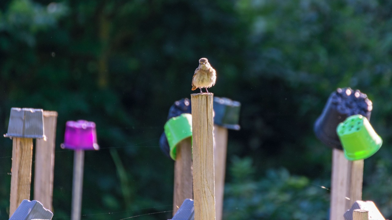 Photo of Outdoor in Sauvigny-le-Bois