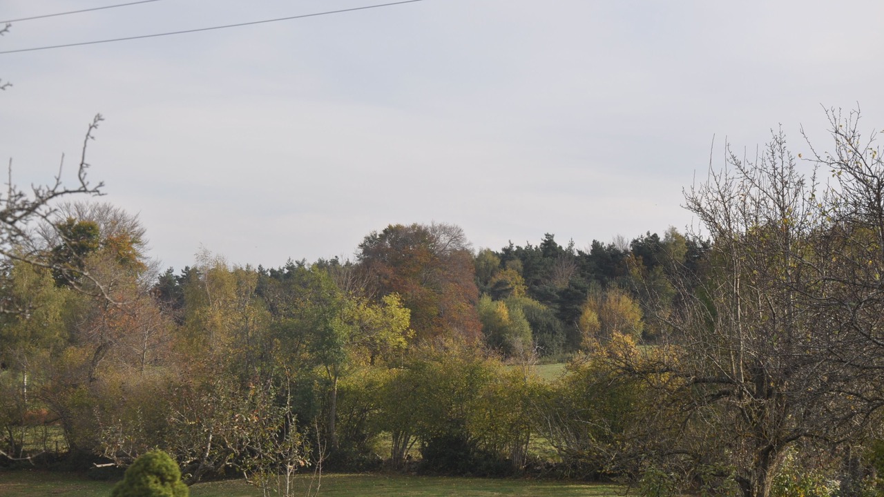 Photo of Others in La Chapelle-Laurent