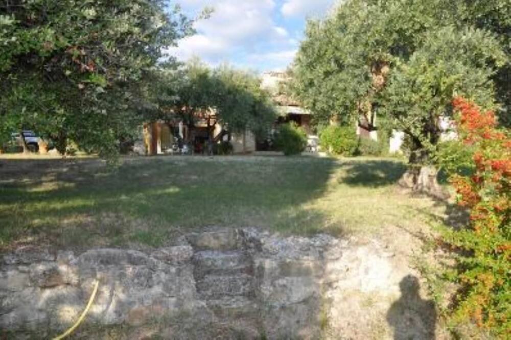 Photo of Outdoor in Bedoin