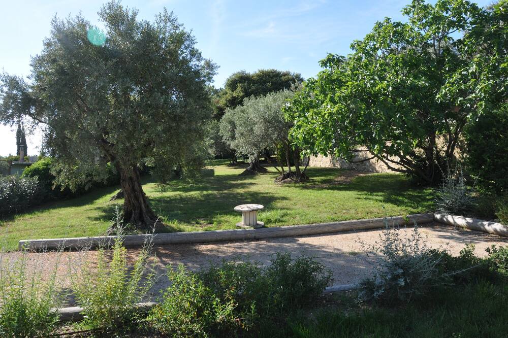 Photo of Outdoor in Bedoin